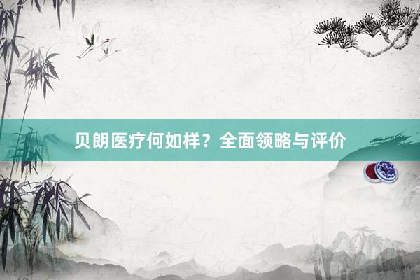 贝朗医疗何如样？全面领略与评价