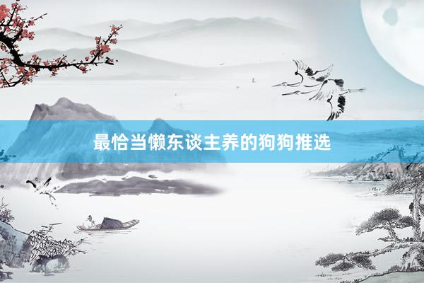 最恰当懒东谈主养的狗狗推选