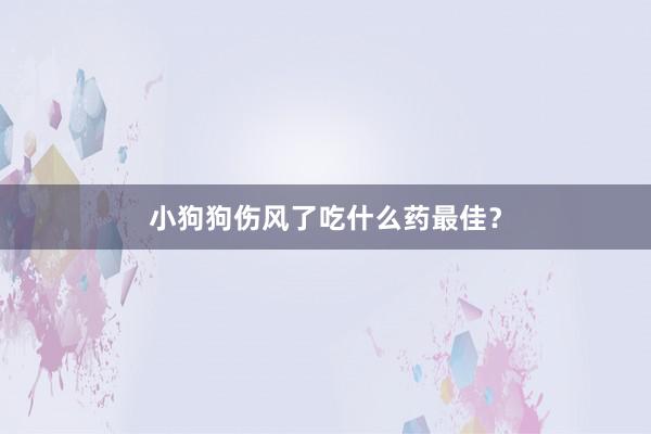 小狗狗伤风了吃什么药最佳？