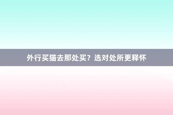外行买猫去那处买？选对处所更释怀