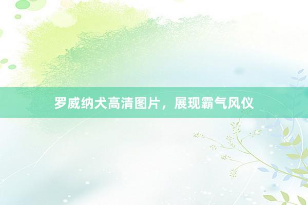 罗威纳犬高清图片，展现霸气风仪